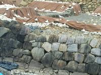 石垣1.JPGのサムネイル画像
