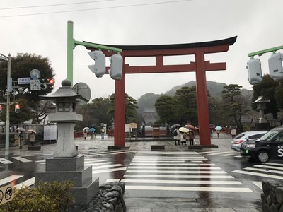 M+横浜202207鶴岡八幡宮.jpg