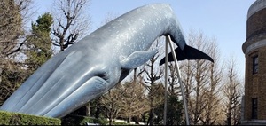 クジラ.jpgのサムネイル画像