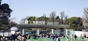 上野動物園.jpgのサムネイル画像