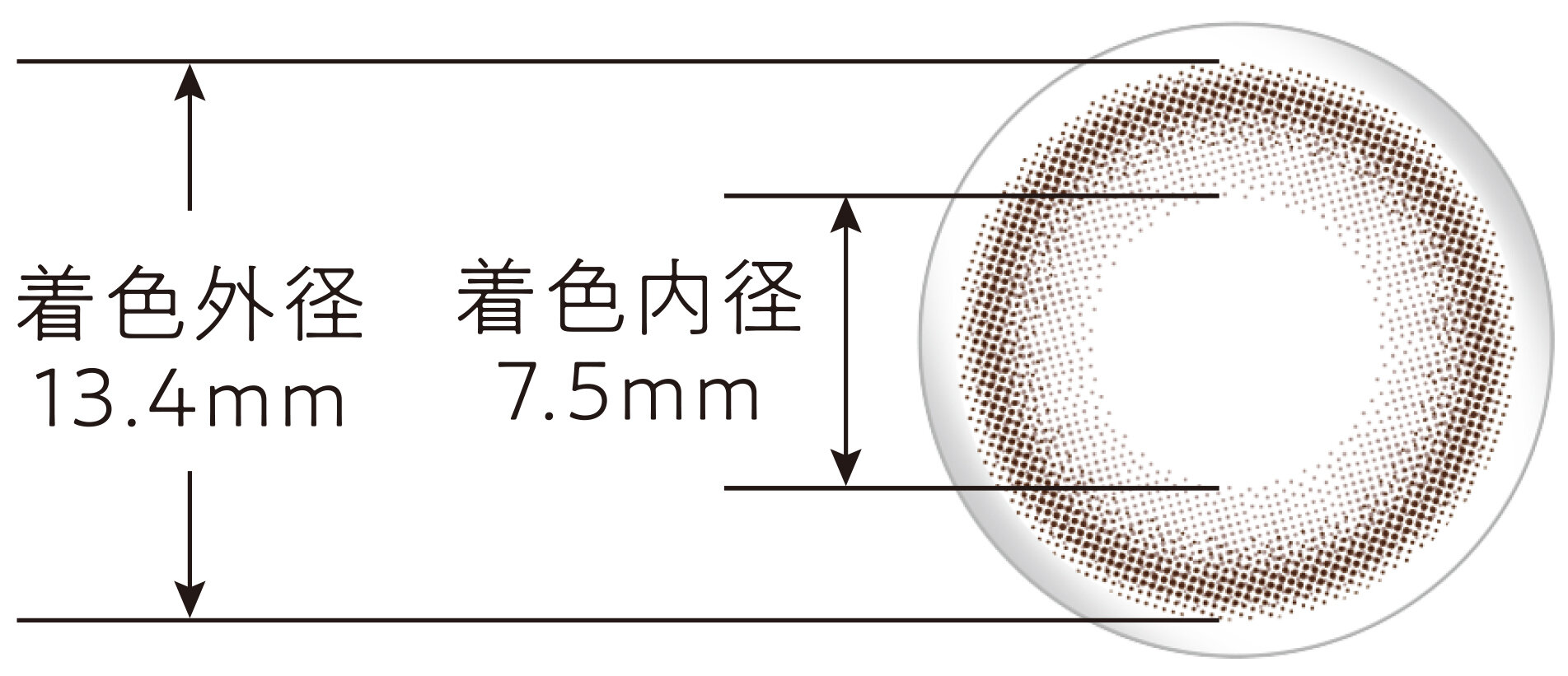 lucent mocha_diameter.jpg　レンズカット.jpg