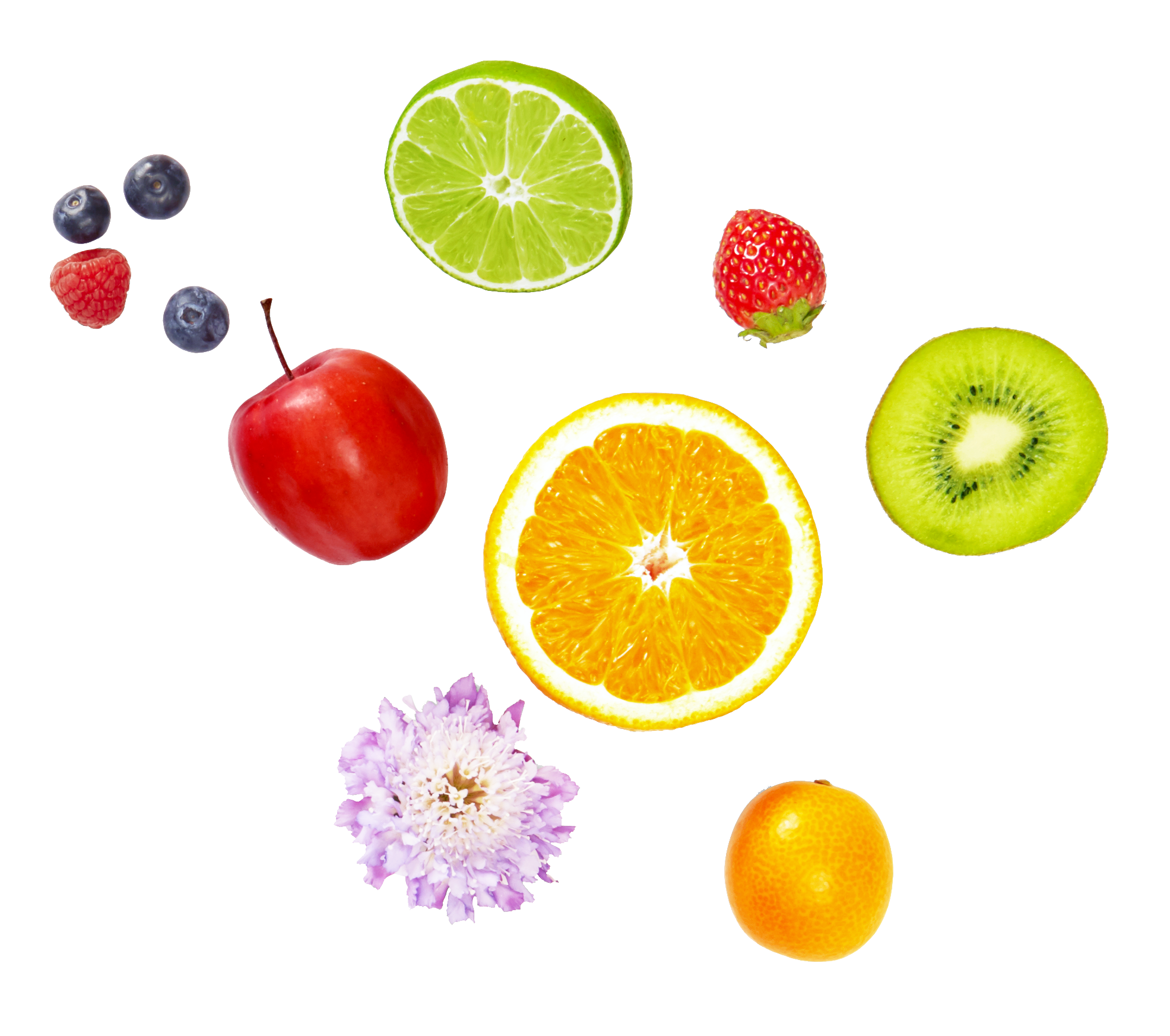 fruits&flower_02.png