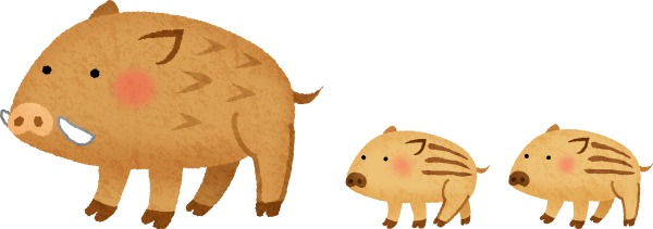 boar-mom-baby.png