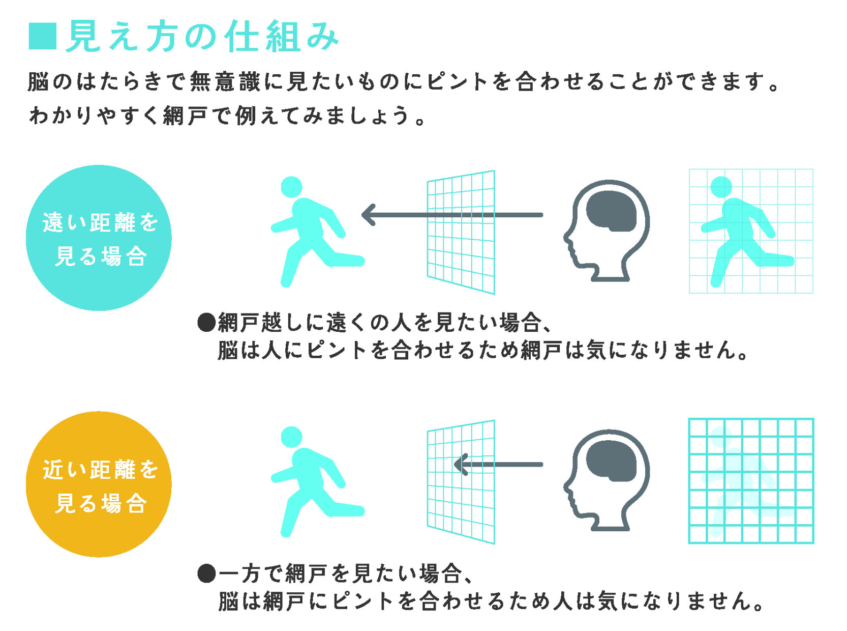 見え方の仕組み_同時視型_2022_0726.jpg
