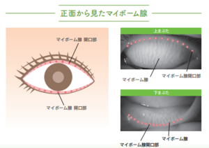 マイボ① 2023-05-05 153106.pngのサムネイル画像