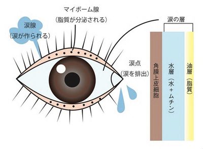 8100e813ee58af1a68c13dc4988df14a-20210617185723-1260x921.jpgのサムネイル画像