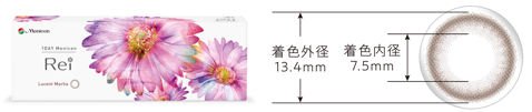 キャプチャ.PNG