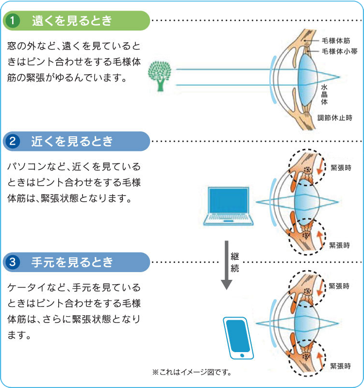 https://www.menicon-shop.jp/shinjyuku/column02_img04.png