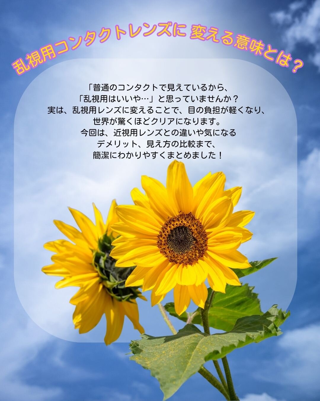 2026.8ブログ1.jpg