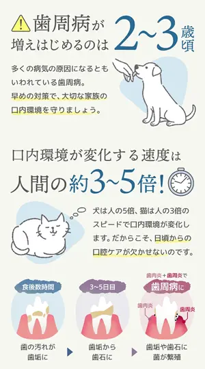 blog03.webp