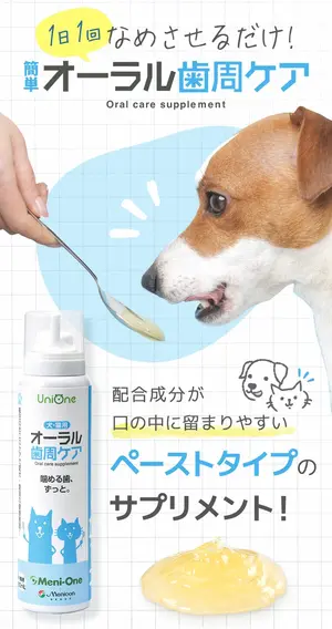 blog05.webp