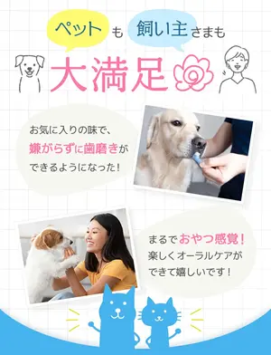 blog07.webp