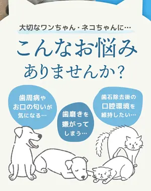 blog2.webp