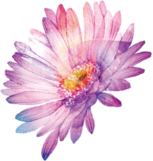 モカお花2.png