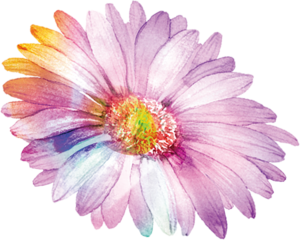 モカお花.png