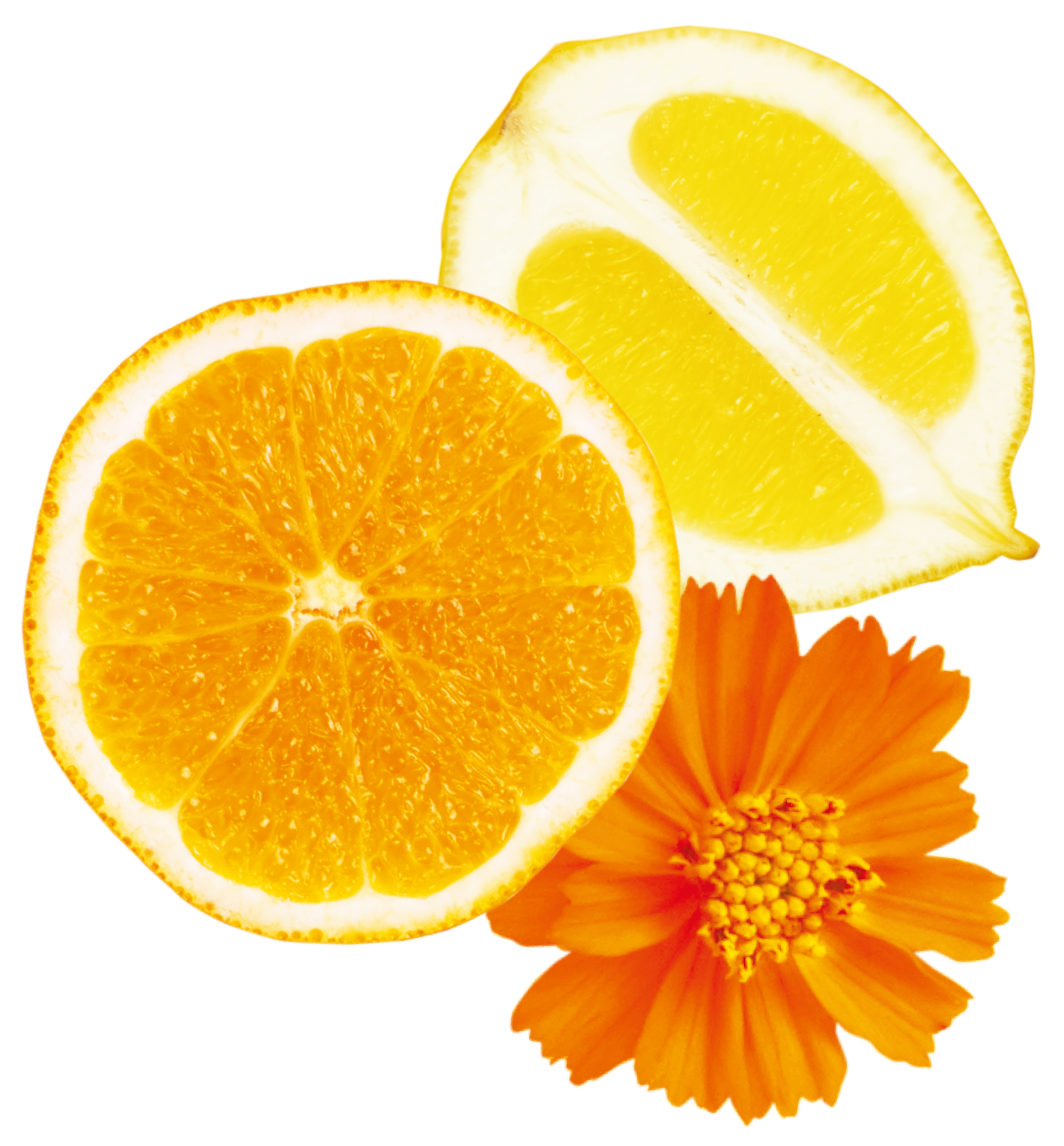 fruttie_parts_brightorange.png