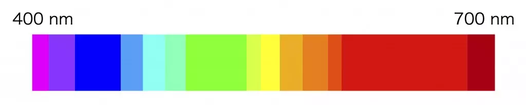 可視光線.webp