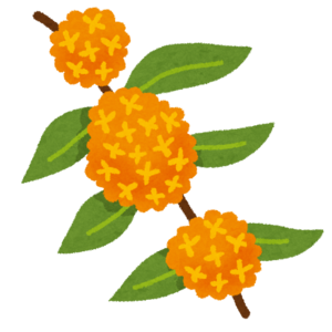 flower_kinmokusei (1).png