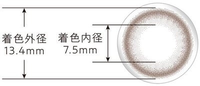 ルーセントモカ着色外径・内径.jpg