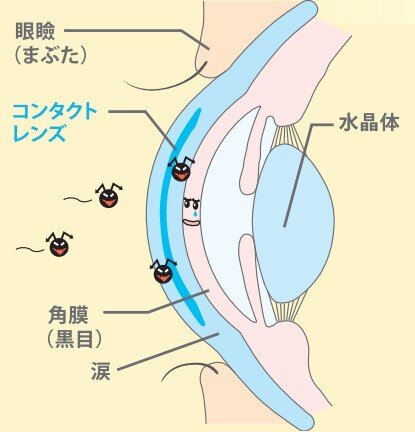スクリーンショット 2025-06-09 121235.jpg