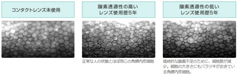 スクリーンショット 2025-06-09 114745.jpg