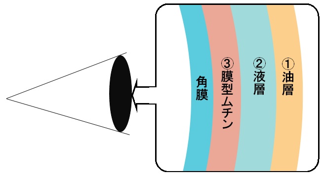 涙液構造.jpgのサムネイル画像