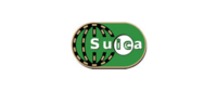 suica.png