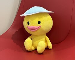 IMG_4729.jpeg